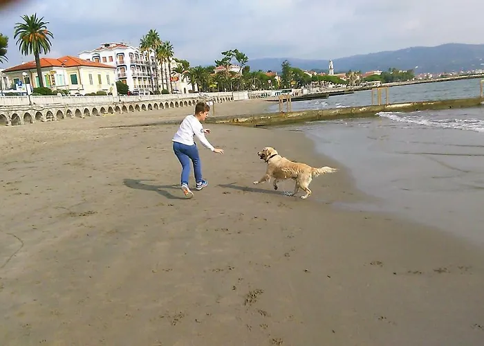 Lejlighed Casa Gemma *